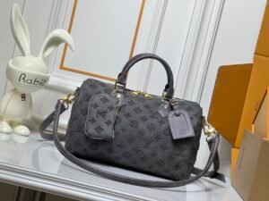 ouis Vuitton classic Speedy series